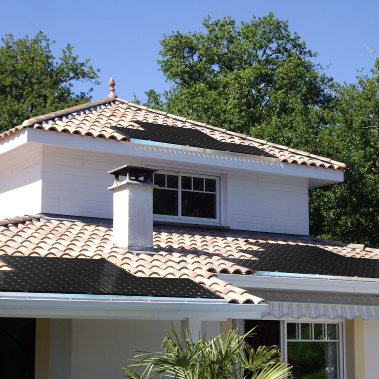 Solar King installation panneaux solaires